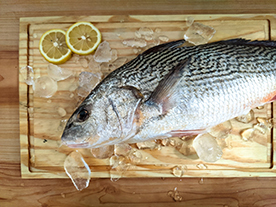 Corvina Inteira Congelada