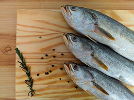 Pescada Amarela Inteira Fresca